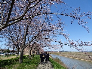 3hanami