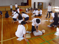 aed3